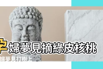 【孕婦夢見綠色核桃】孕婦夢見摘綠皮核桃 |孕婦夢見打樹上的核桃 |周公解夢夢見綠色 |