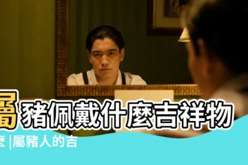 【屬相豬吉祥物】屬豬佩戴什麼吉祥物什麼 |屬豬人的吉祥物與不吉物 |屬豬的人佩戴什麼吉祥物比較 |