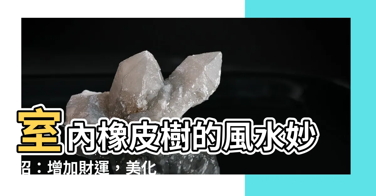 【橡皮樹室內】室內橡皮樹的風水妙招：增加財運，美化空間！