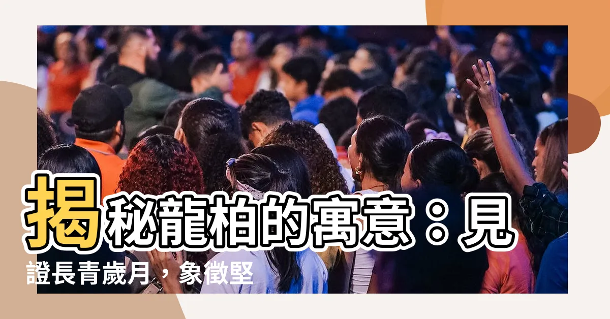 【龍柏象徵】揭秘龍柏的寓意：見證長青歲月，象徵堅韌不拔的精神