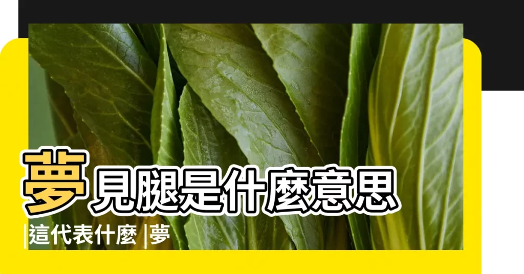 夢見腿是什麼意思 |這代表什麼 |夢的解釋 |【夢見只有兩條腿的人】