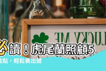 【虎尾蘭照顧】必讀！虎尾蘭照顧5大重點，輕鬆養出健康虎尾蘭