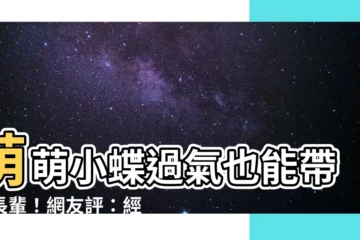 【萌萌小蝶過氣】萌萌小蝶過氣也能帶動長輩！網友評：經典永不退流行