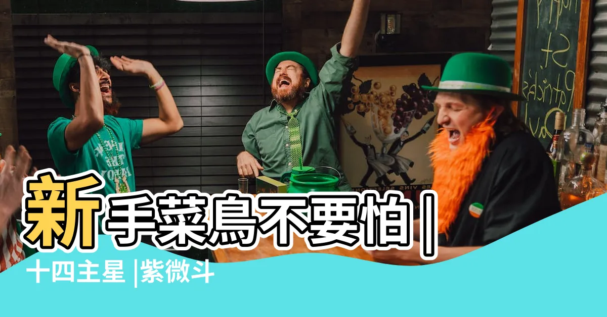 【十四主星詳解】新手菜鳥不要怕 |十四主星 |紫微斗數十四主星心性簡介 |