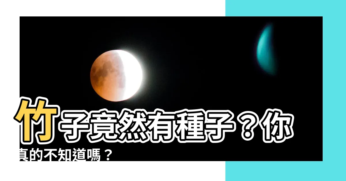 【竹子有種子嗎】竹子竟然有種子？你真的不知道嗎？