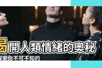 【人的情感有哪些】揭開人類情緒的奧秘：探索你不可不知的100+情感詞彙