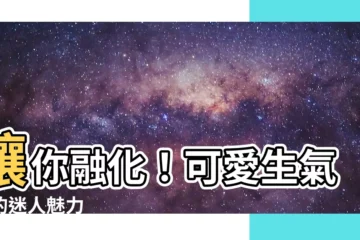 【可愛生氣貓】讓你融化！可愛生氣貓的迷人魅力