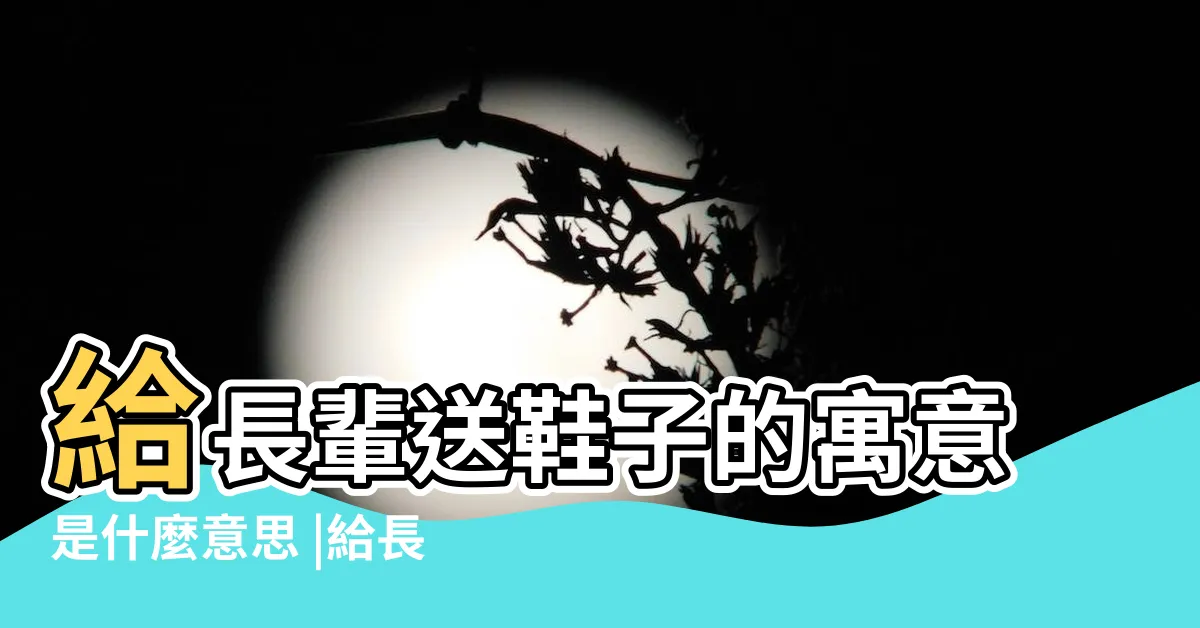 【送鞋子給家人】給長輩送鞋子的寓意是什麼意思 |給長輩送鞋子的寓意是什麼意思 |搜索結果 |