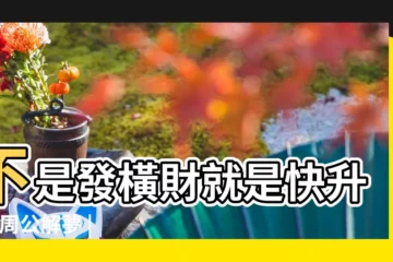【夢見自己家裏櫃子着火】不是發橫財就是快升職 |周公解夢 |夢到這19個情景 |
