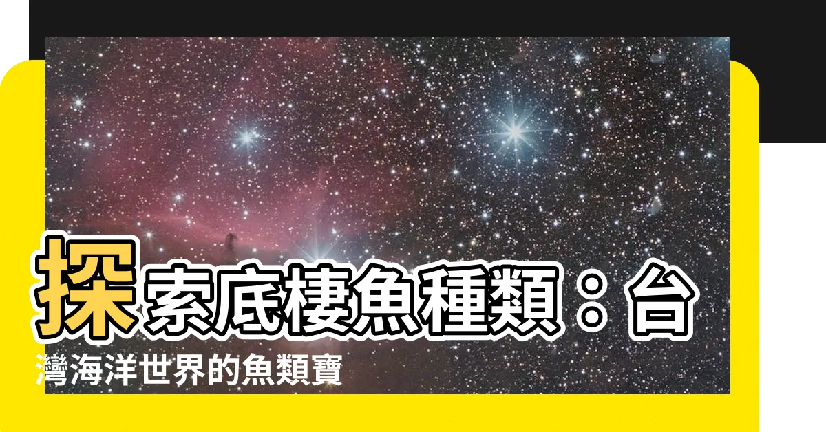 【底棲魚種類】探索底棲魚種類：台灣海洋世界的魚類寶庫