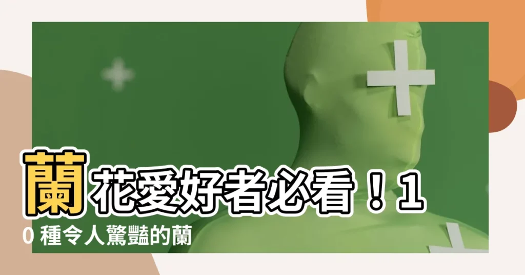 【各種蘭花種類】蘭花愛好者必看！10 種令人驚豔的蘭花種類，讓你成為養蘭達人