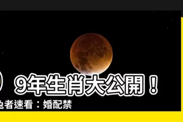 【99年 生肖】99年生肖大公開！屬兔者速看：婚配禁忌、運勢解析