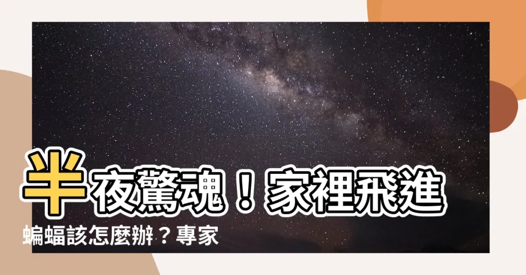 【家裡飛進蝙蝠】半夜驚魂！家裡飛進蝙蝠該怎麼辦？專家解答網驚：大吉兆頭！