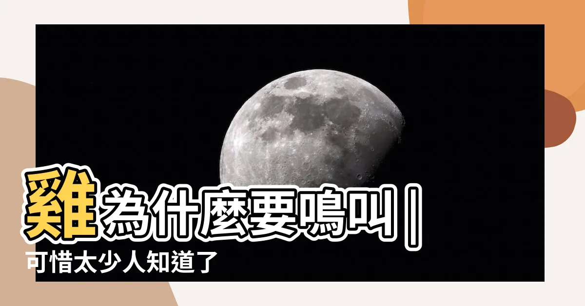 【為什麼雞晚上會叫】雞為什麼要鳴叫 |可惜太少人知道了 |公雞晚上打鳴怎麼回事 |