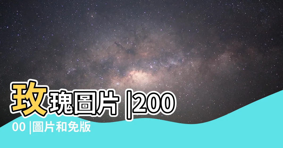 【玫瑰花照片】玫瑰圖片 |20000 |圖片和免版税影像 |