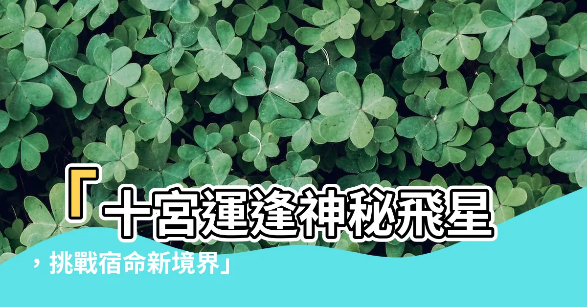 【10宮飛入9宮】「十宮運逢神秘飛星，挑戰宿命新境界」