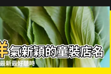 【嬰兒服裝店取名大全2015最新版】洋氣新穎的童裝店名字 |最新最好聽時尚的英文服裝店名字大全 |童裝店起名字大全 |