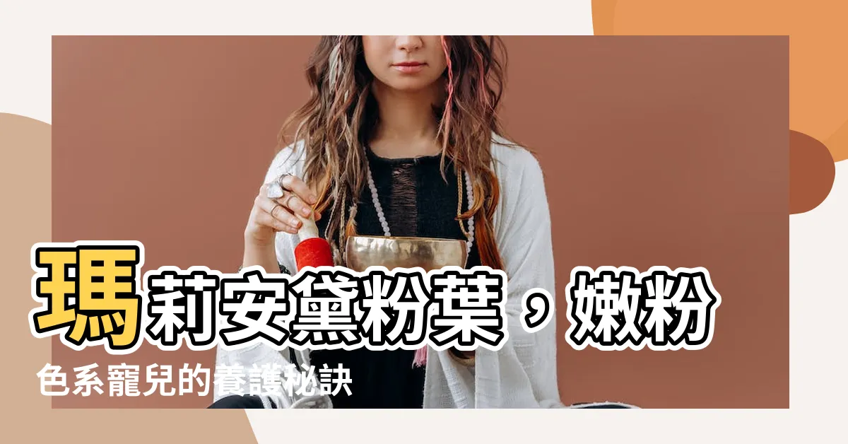 【瑪莉安黛粉葉】瑪莉安黛粉葉，嫩粉色系寵兒的養護秘訣大公開！