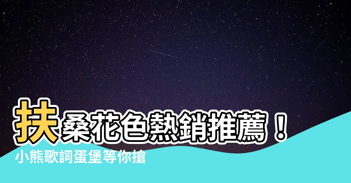 【扶桑花色】扶桑花色熱銷推薦！小熊歌詞蛋堡等你搶