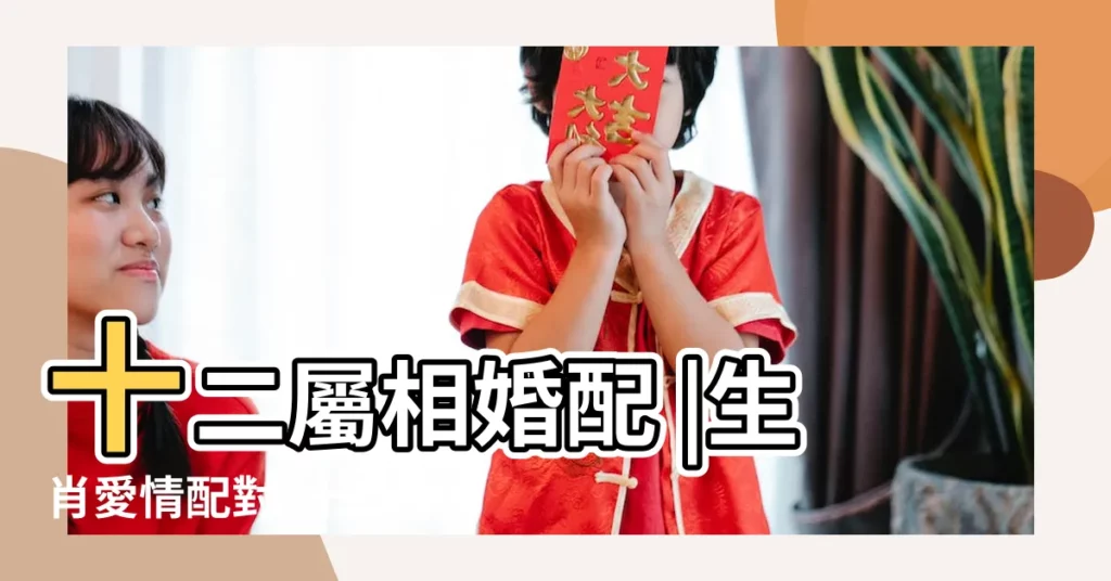 十二屬相婚配 |生肖愛情配對 |十二生肖配對 |【十二生肖情侶配對查詢】