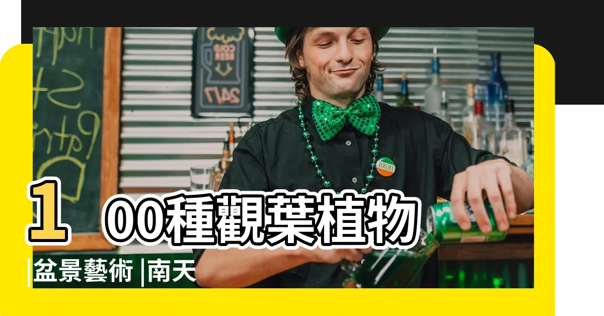 【南天竹 盆栽】100種觀葉植物 |盆景藝術 |南天竹日常養護照顧方法 |