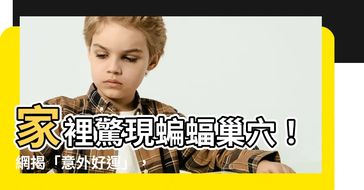 【家裡有蝙蝠窩】家裡驚現蝙蝠巢穴！網揭「意外好運」，但小心觸法