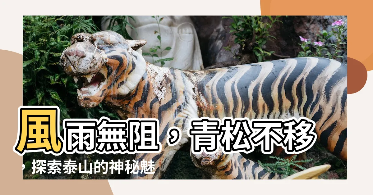 【風吹不動泰山】風雨無阻，青松不移，探索泰山的神秘魅力