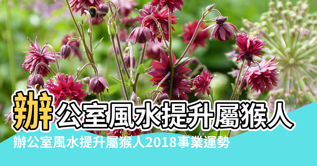 【2018猴人辦公室風水】辦公室風水提升屬猴人2018事業運勢 |辦公室風水提升屬猴人2018事業運勢 |辦公室風水提升屬猴人2018事業運勢 |