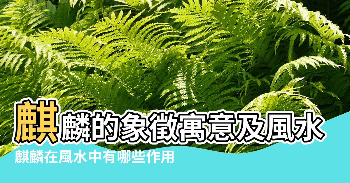 【風水中麒麟】麒麟的象徵寓意及風水作用 |麒麟在風水中有哪些作用 |麒麟擺件有什麼講究和忌諱 |