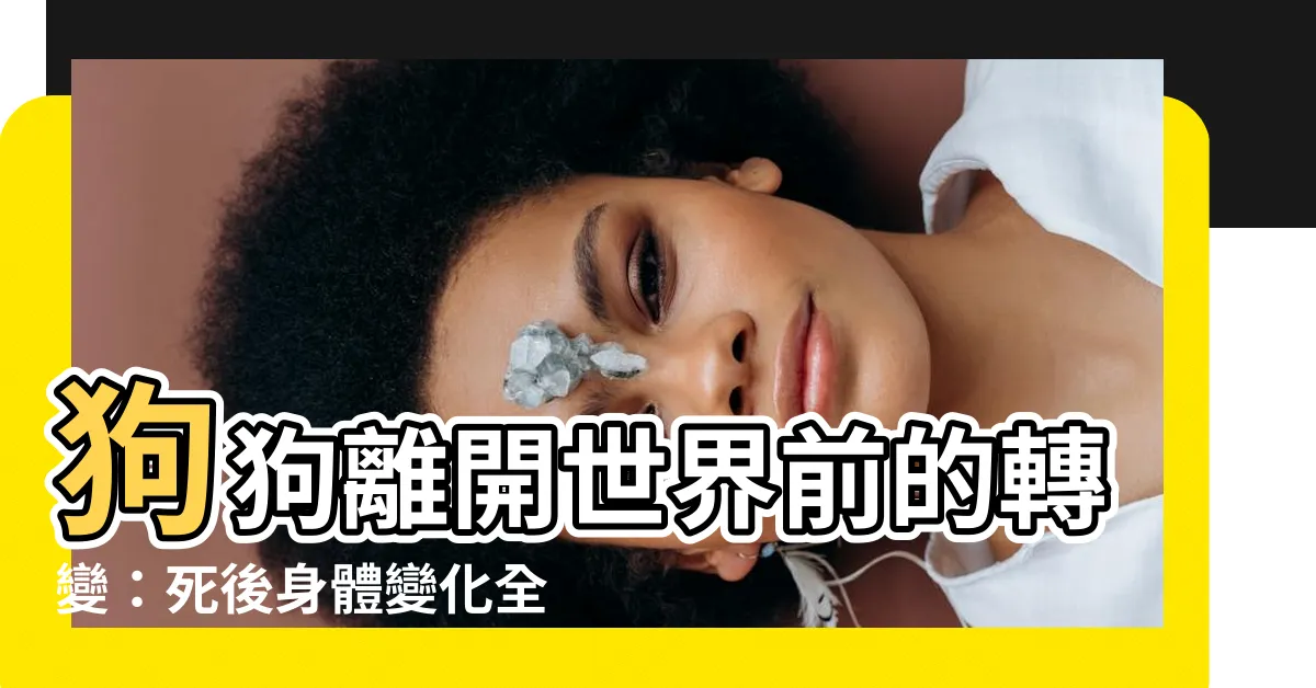【狗狗死後身體變化】狗狗離開世界前的轉變：死後身體變化全揭密