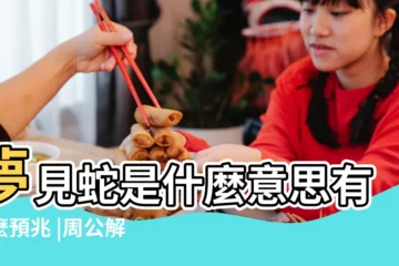 【夢見肚子鼓鼓的蛇站立】夢見蛇是什麼意思有什麼預兆 |周公解夢 |夢見肚子裡有蛇 |