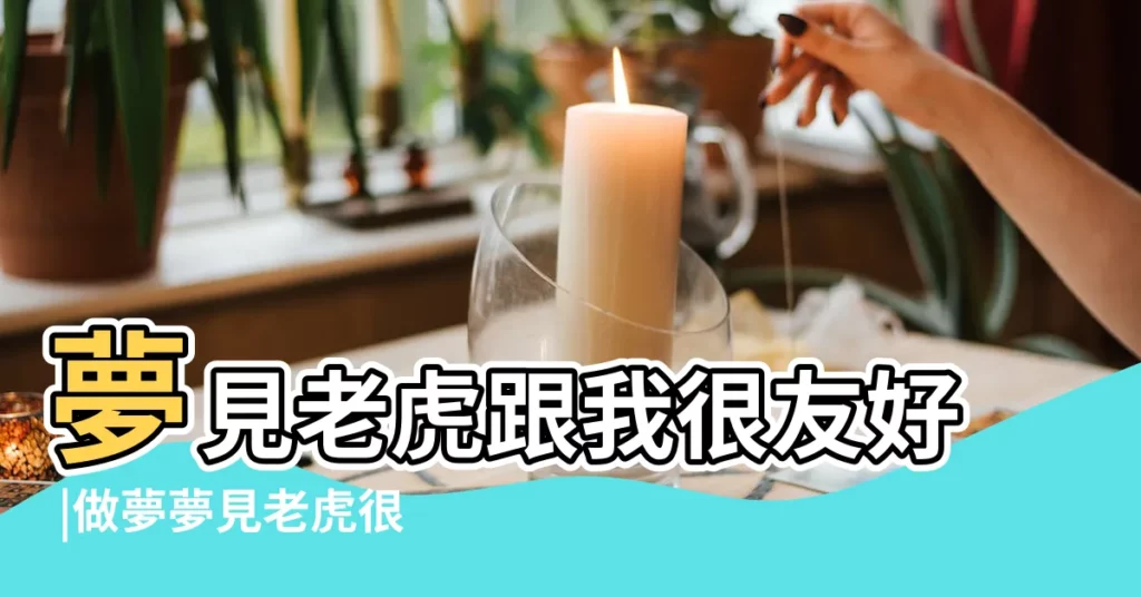 夢見老虎跟我很友好 |做夢夢見老虎很聽話 |夢見老虎預示什麼 |【夢見我和老虎很友好】