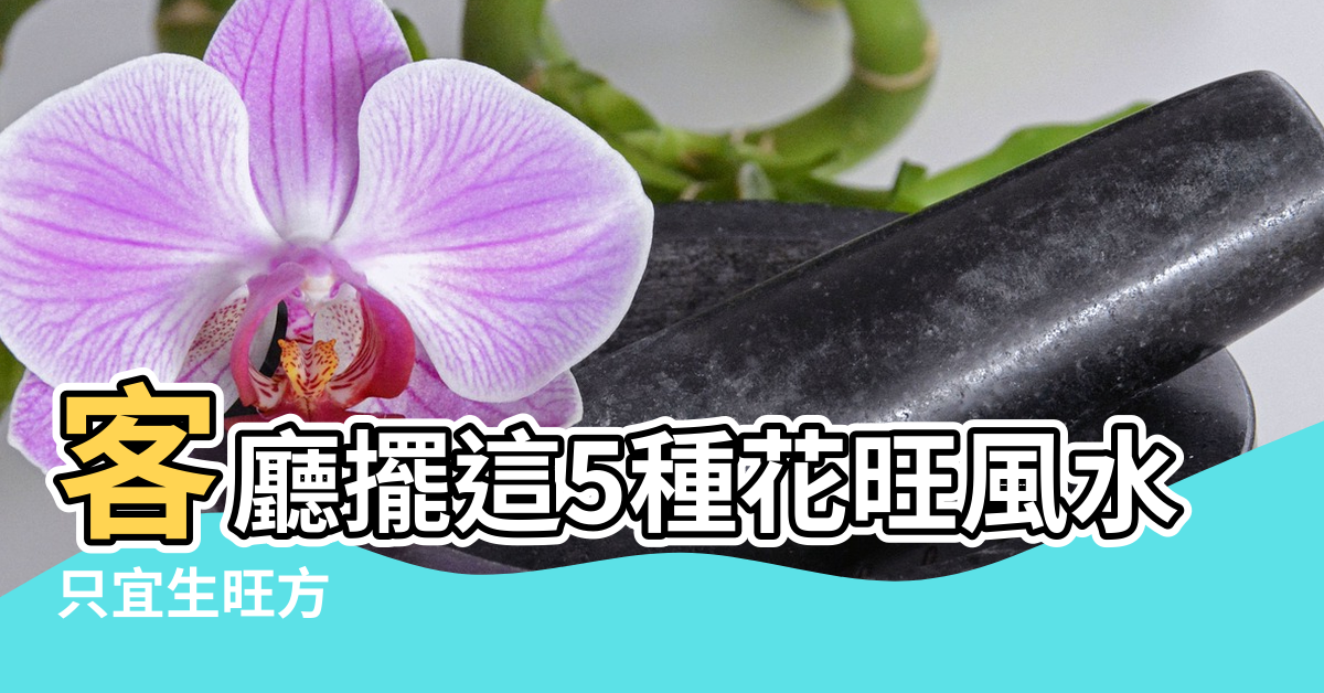 【美人蕉風水】客廳擺這5種花旺風水 |只宜生旺方 |風水上門口種美人蕉好嗎 |