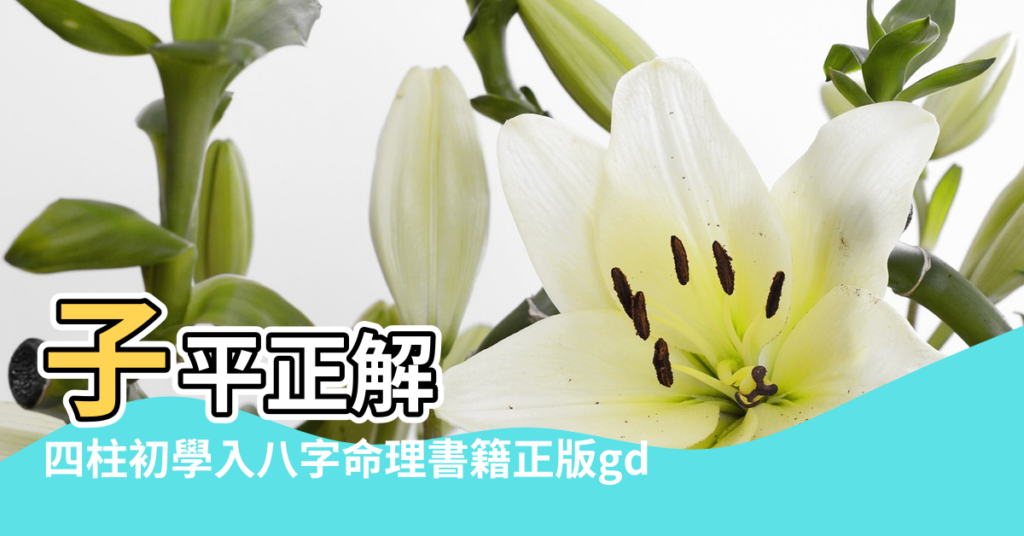 【徐偉剛的風水書】子平正解 |四柱初學入八字命理書籍正版gd |簡體正原版 |