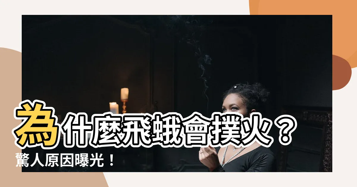 【飛蛾撲火原因】為什麼飛蛾會撲火？驚人原因曝光！