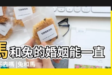 【屬馬的受屬兔男的氣】馬和兔的婚姻能一直走下去嗎 |兔和馬屬相合不合適合在一起嗎 |屬兔和屬馬的相配嗎屬兔和屬馬婚姻配對 |