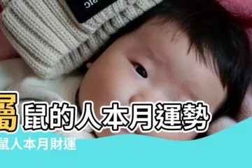 【鼠男本月運勢如何】屬鼠的人本月運勢 |屬鼠人本月財運 |屬鼠身邊將出現新伴侶 |