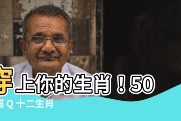 【十二生肖衣服】穿上你的生肖！50款超 Q 十二生肖衣服，讓你今年運勢爆棚！