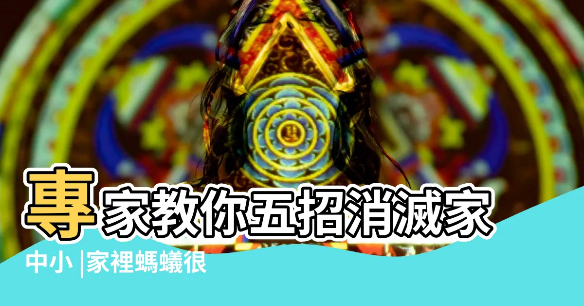 【生螞蟻】專家教你五招消滅家中小 |家裡螞蟻很多怎麼辦 |不用殺蟲劑也 |