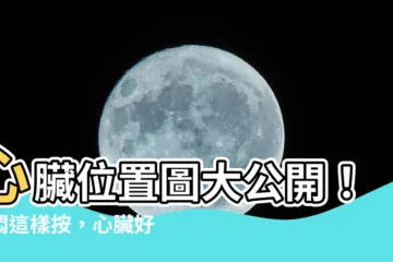 【心臟位置圖】心臟位置圖大公開！胸悶這樣按，心臟好壞一目瞭然
