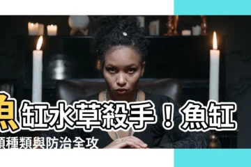 【魚缸藻類種類】魚缸水草殺手！魚缸藻類種類與防治全攻略