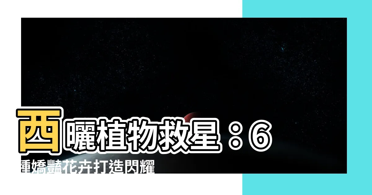 【西曬 植物】西曬植物救星：6 種嬌豔花卉打造閃耀陽台
