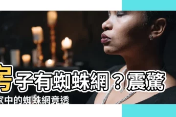 【房子有蜘蛛網】房子有蜘蛛網？震驚！家中的蜘蛛網竟透露你的人際關係！