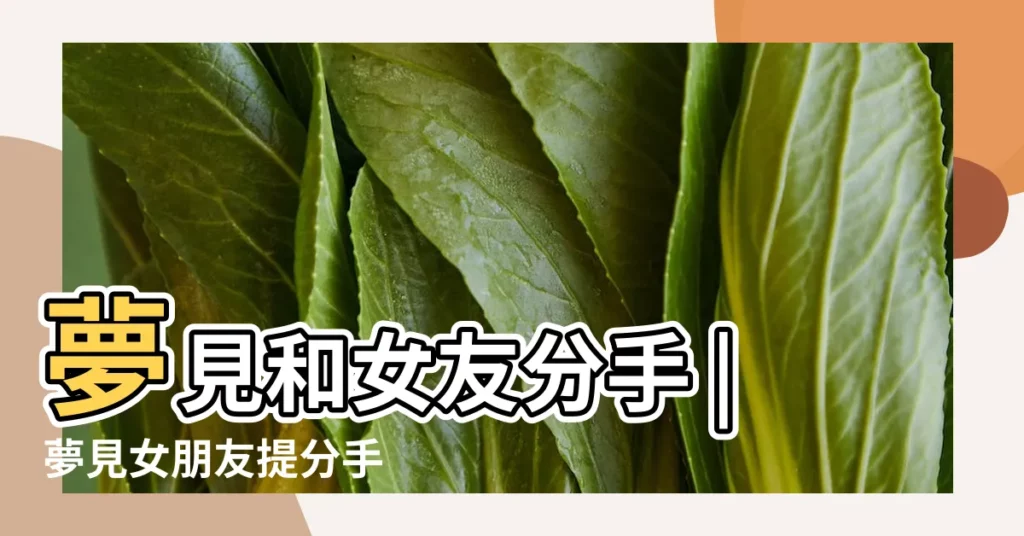 夢見和女友分手 |夢見女朋友提分手 |夢到女友提出分手 |【夢見女朋友想跟我分手了】