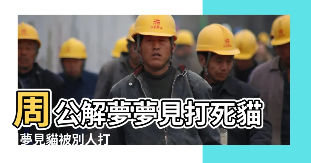 周公解夢夢見打死貓 |夢見貓被別人打死 |做夢夢見貓好不好 |【夢見男朋友打死小白貓】