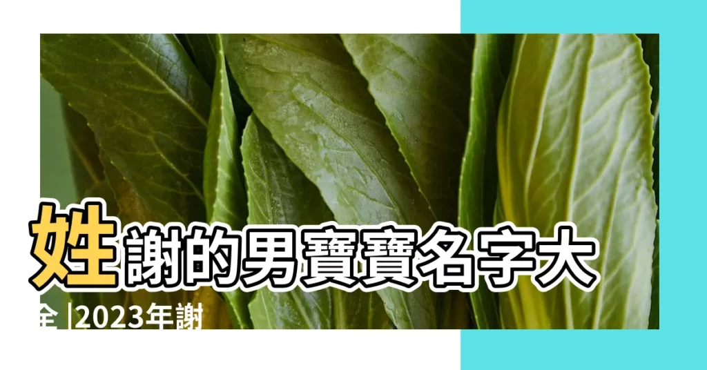 姓謝的男寶寶名字大全 |2023年謝姓男孩取名大全 |姓謝最好聽的名字 |【小孩姓謝男孩名字】