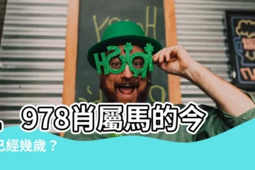 【1978生肖幾歲】1978肖屬馬的今年已經幾歲？