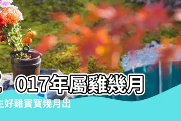【2017年月份出生的寶寶好】2017年屬雞幾月出生好雞寶寶幾月出生命最好 |2017年屬雞的幾月出生最好 |2017雞寶寶出生月份各是甚麼命 |
