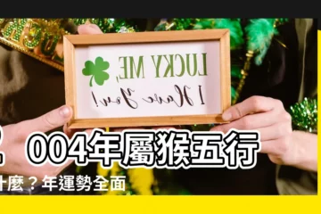 【2004 猴 年 五行】2004年屬猴五行屬什麼？年運勢全面解析！