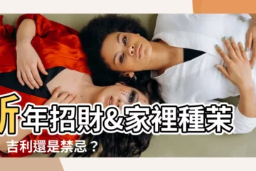 【家裡可以種茉莉花嗎】新年招財&家裡種茉莉：吉利還是禁忌？